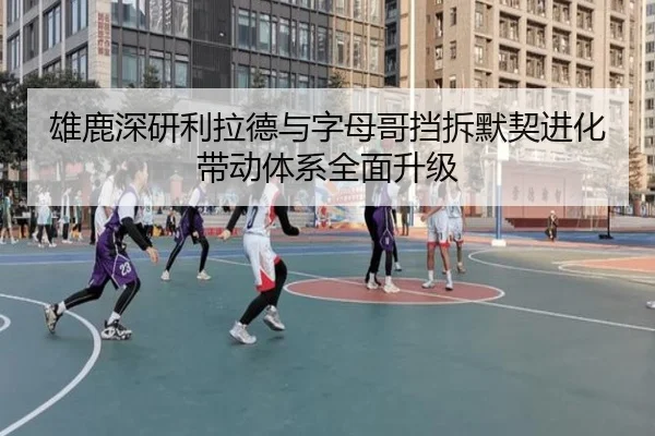 雄鹿深研利拉德与字母哥挡拆默契进化带动体系全面升级